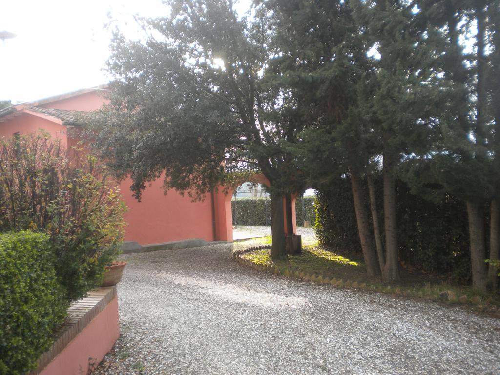 Podere Lo Stringaio Fauglia Номер фото